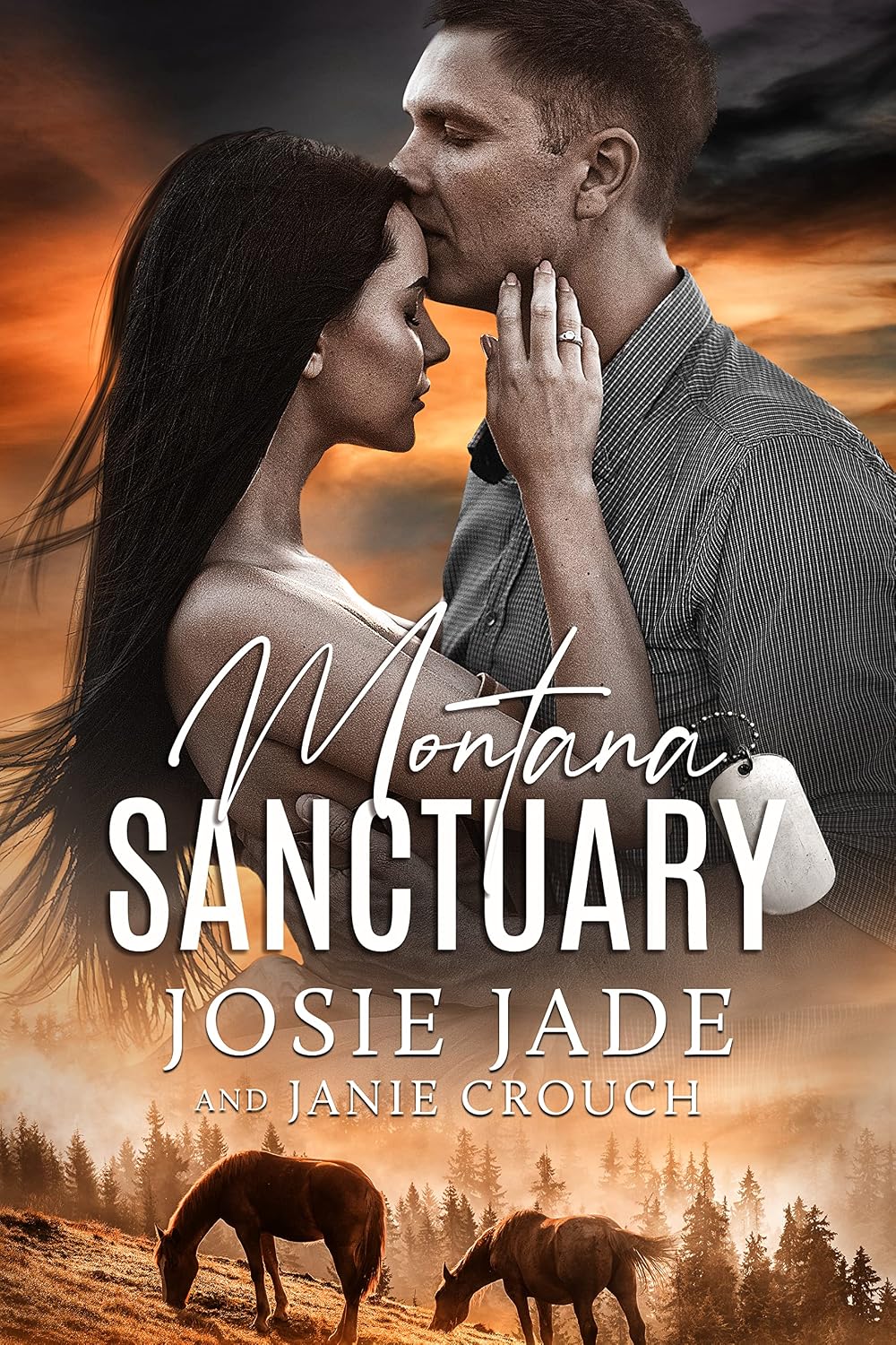 Montana Sanctuary (Resting Warrior Ranch Book 1)