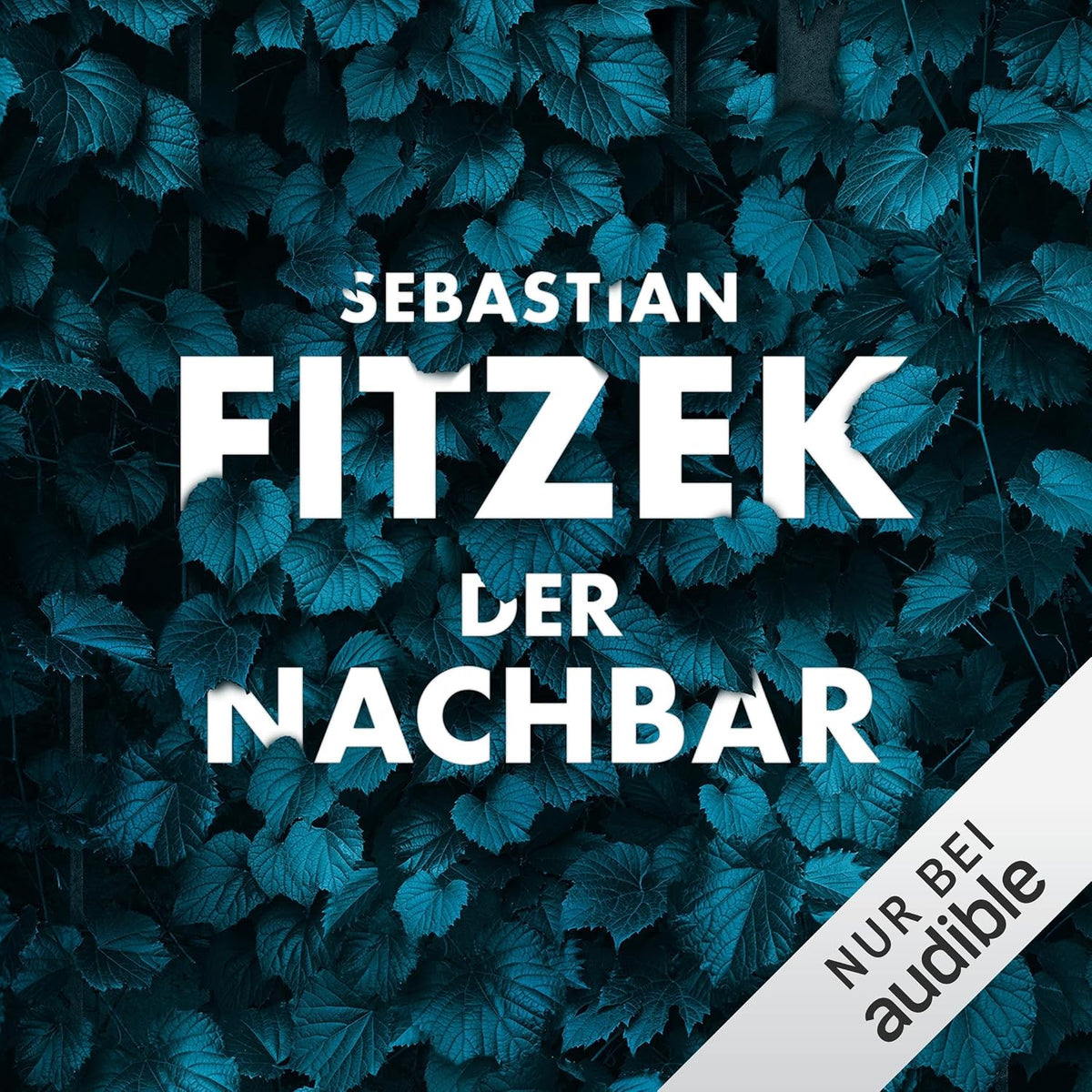 Der Nachbar