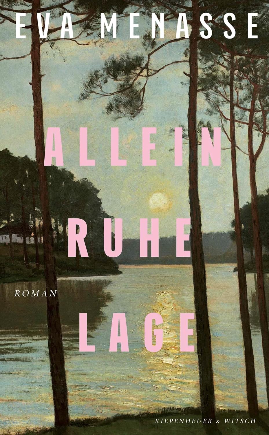 Alleinruhelage: Roman