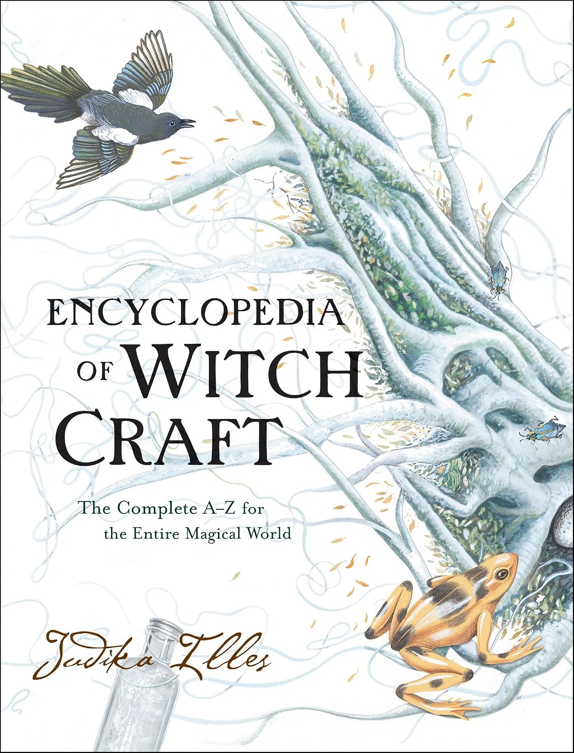 Encyclopedia of Witchcraft: A Comprehensive Reference to Witches, Mythology, Folklore, and Magic from Ancient Times to the Present (Witchcraft & Spells, 4)