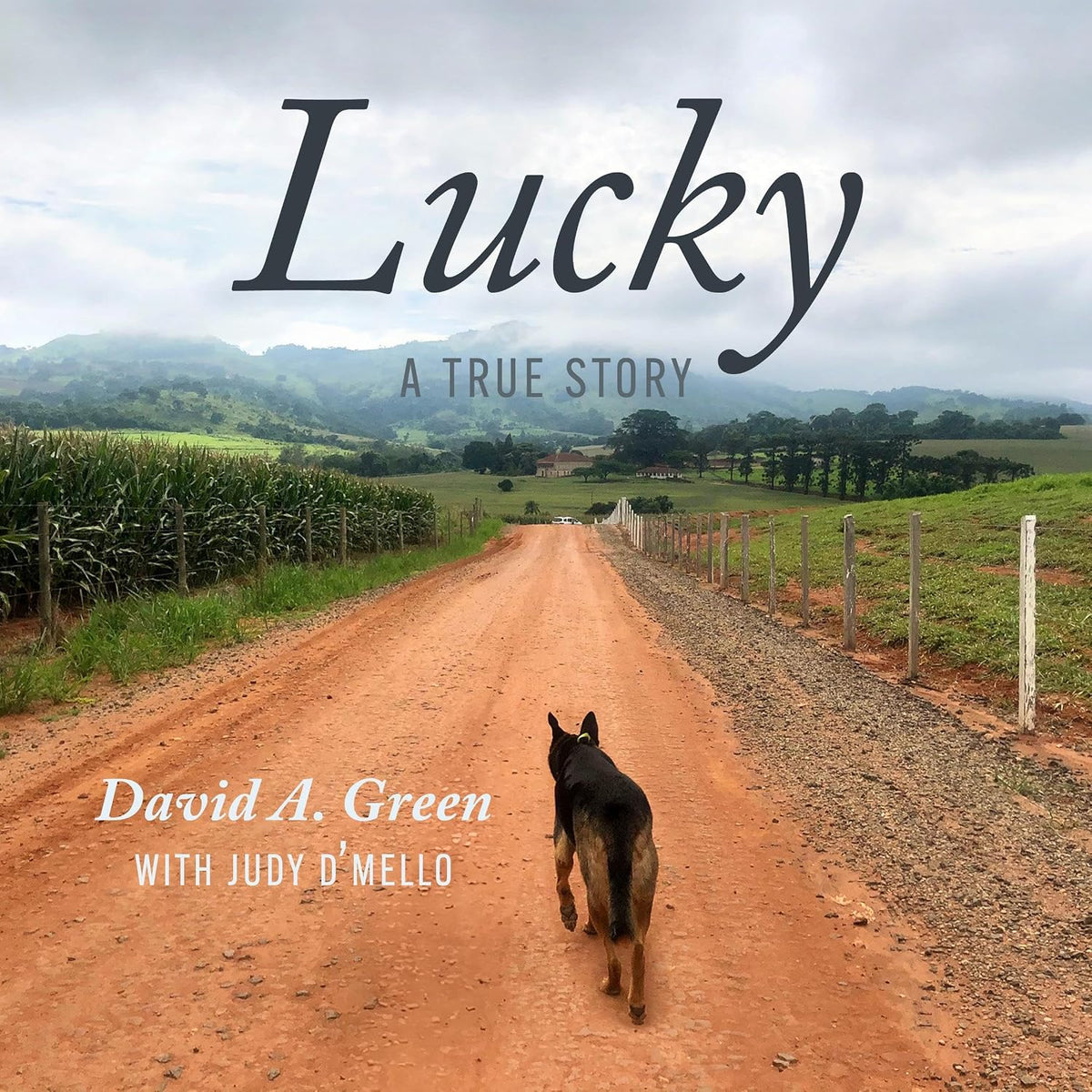 Lucky: A True Story