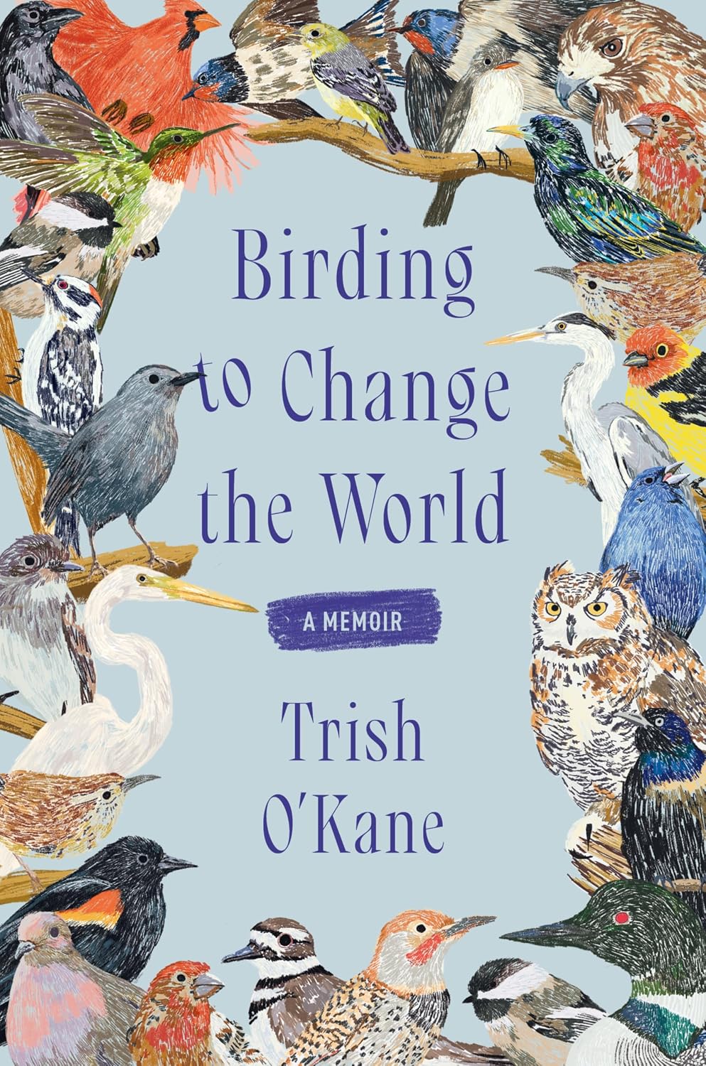 Birding to Change the World: An Uplifting Memoir that Explores what Birds Can Teach us about Life