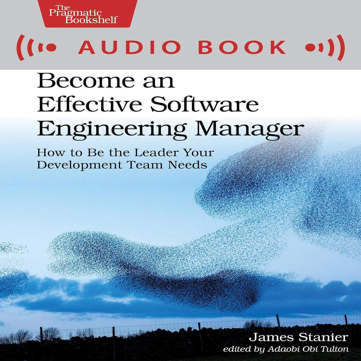 Become an Effective Software Engineering Manager: How to Be the Leader Your Development Team Needs