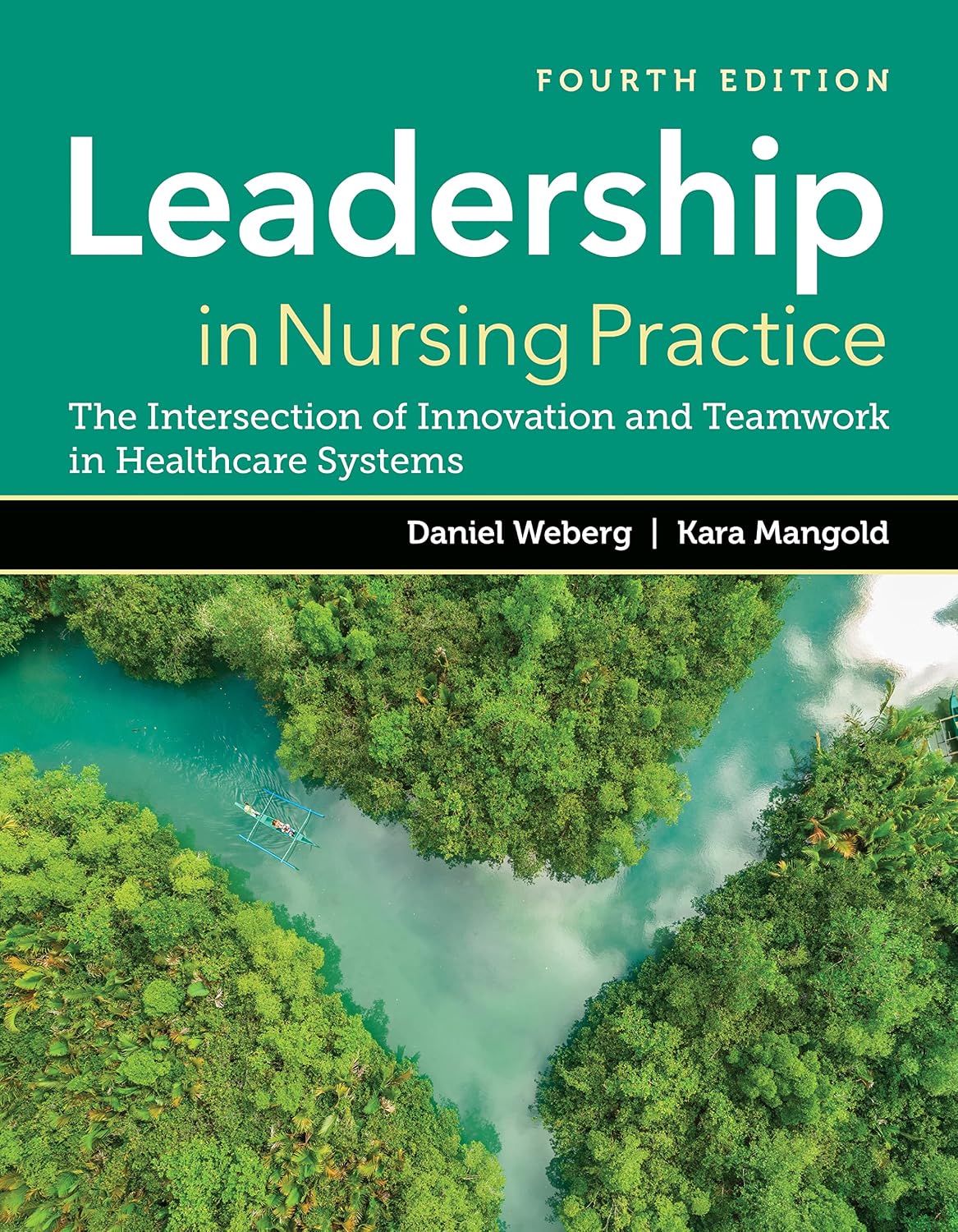Leadership in Nursing Practice: The Intersection of Innovation and Teamwork in Healthcare Systems