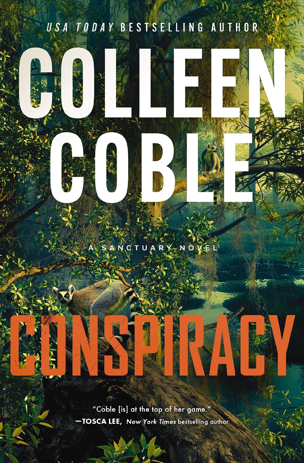 Conspiracy: A small-town, second-chance romantic suspense (A Sanctuary Novel)