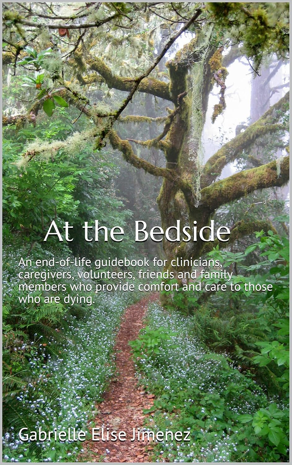 At the Bedside: An end-of-life guidebook for clinicians, caregivers, volunteers, friends and family members who provide comfort and care to those who are dying.