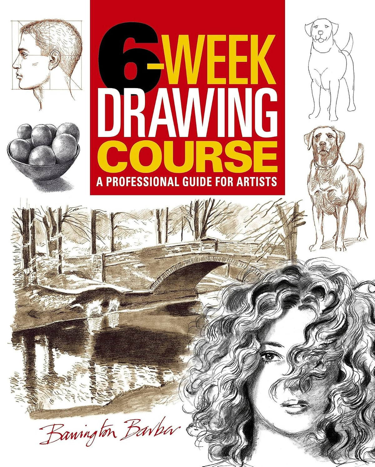 6-Week Drawing Course: A Professional Guide for Artists