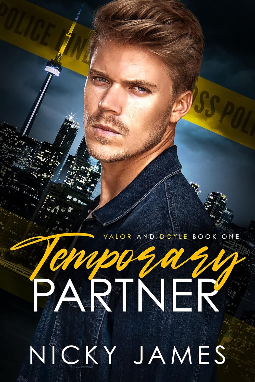 Temporary Partner (Valor and Doyle Book 1)