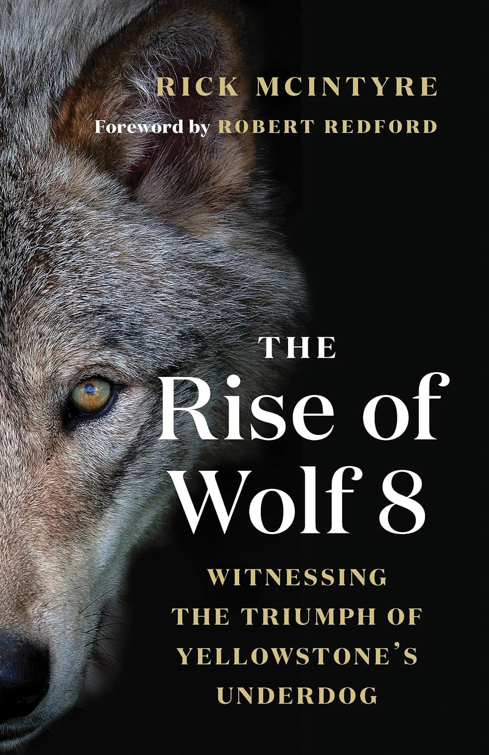 The Rise of Wolf 8: Witnessing the Triumph of Yellowstone's Underdog (The Alpha Wolves of Yellowstone, 1)