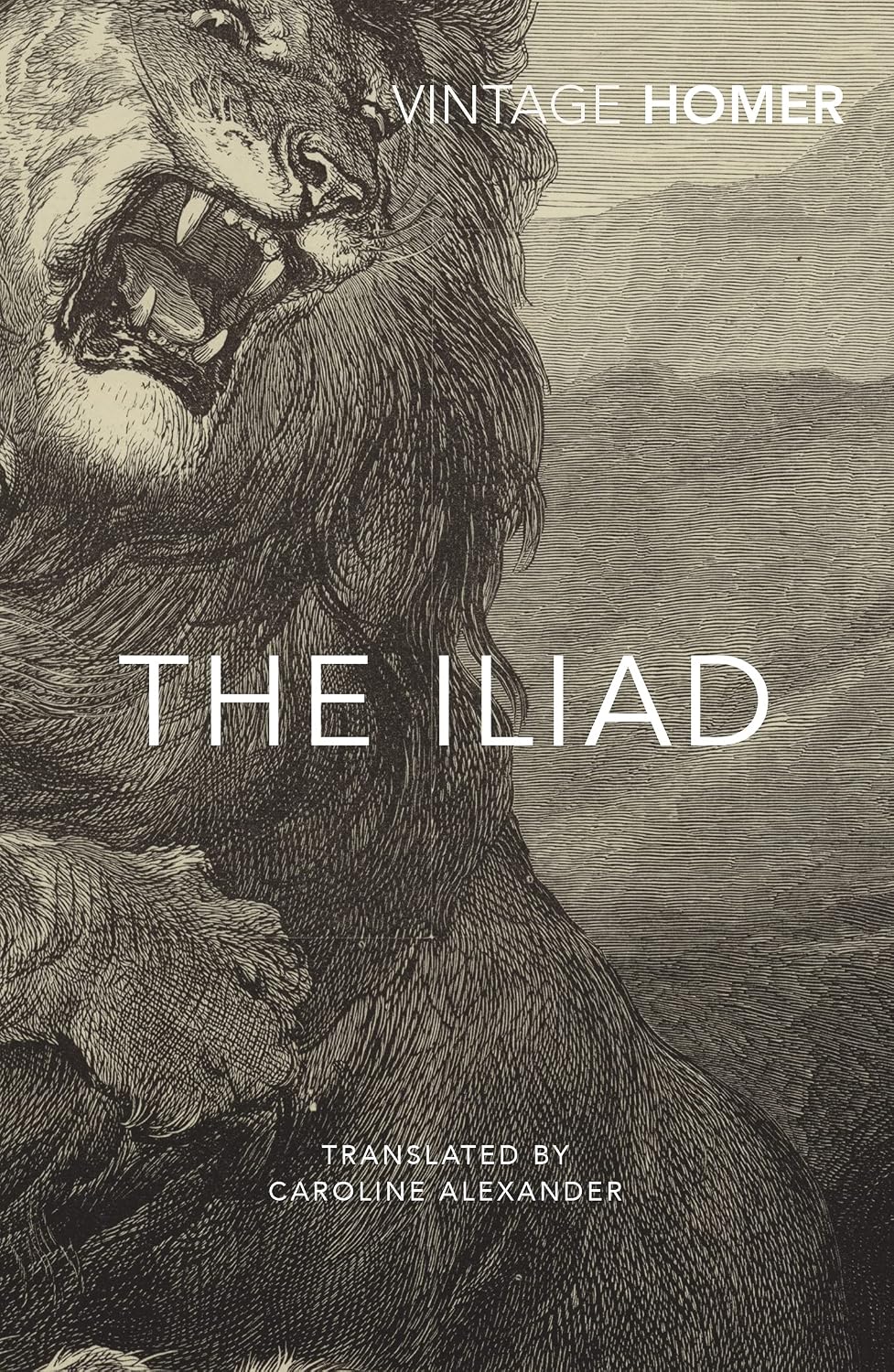 The Iliad (Vintage Classics)