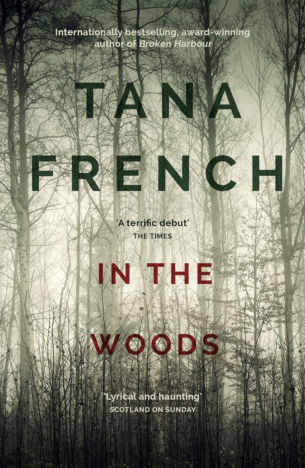 In the Woods: A truly stunning thriller and psychological mystery from one of our greatest living crime writers (Dublin Murder Squad series Book 1)