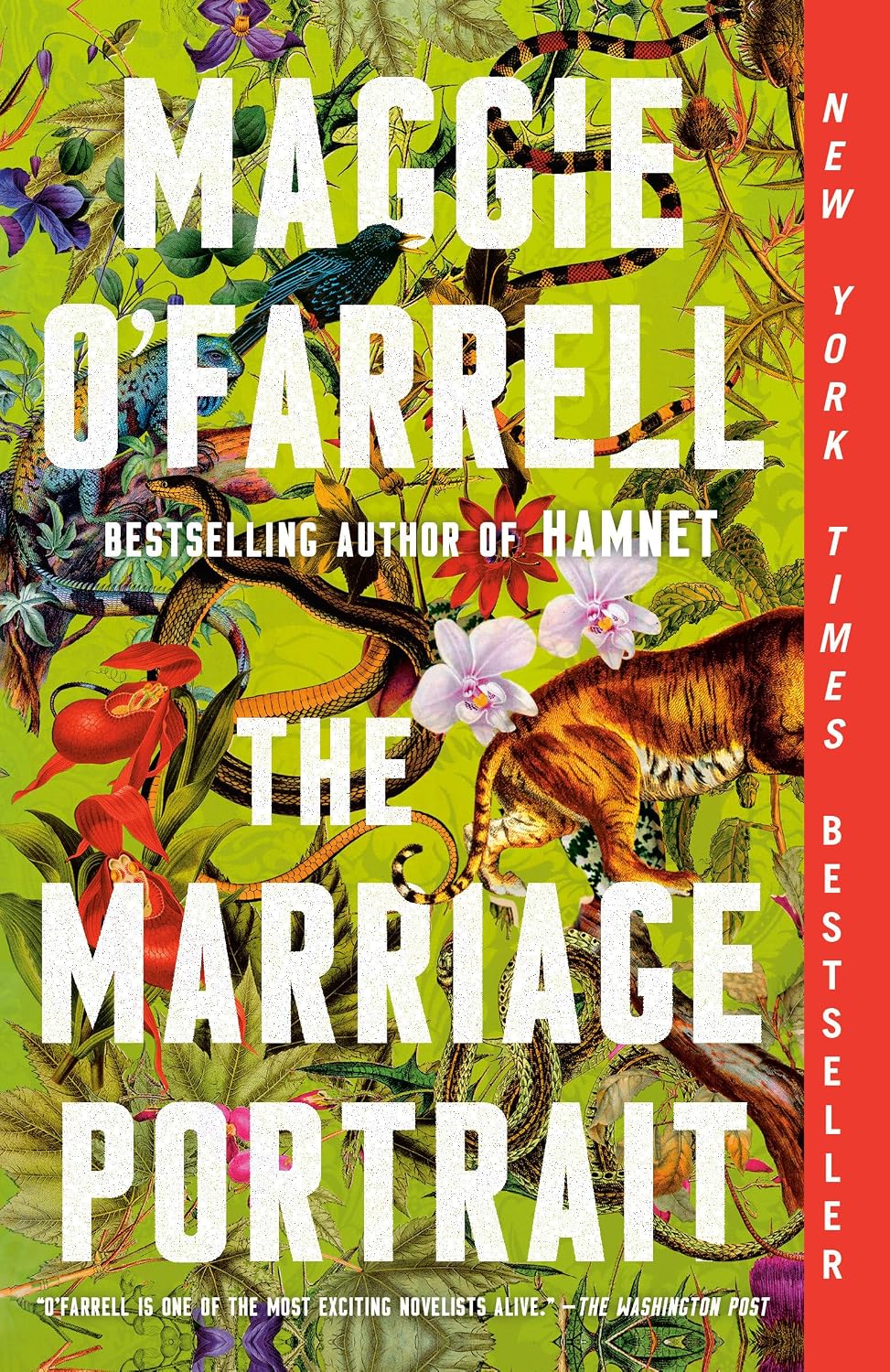 The Marriage Portrait: Reese's Book Club: A Novel