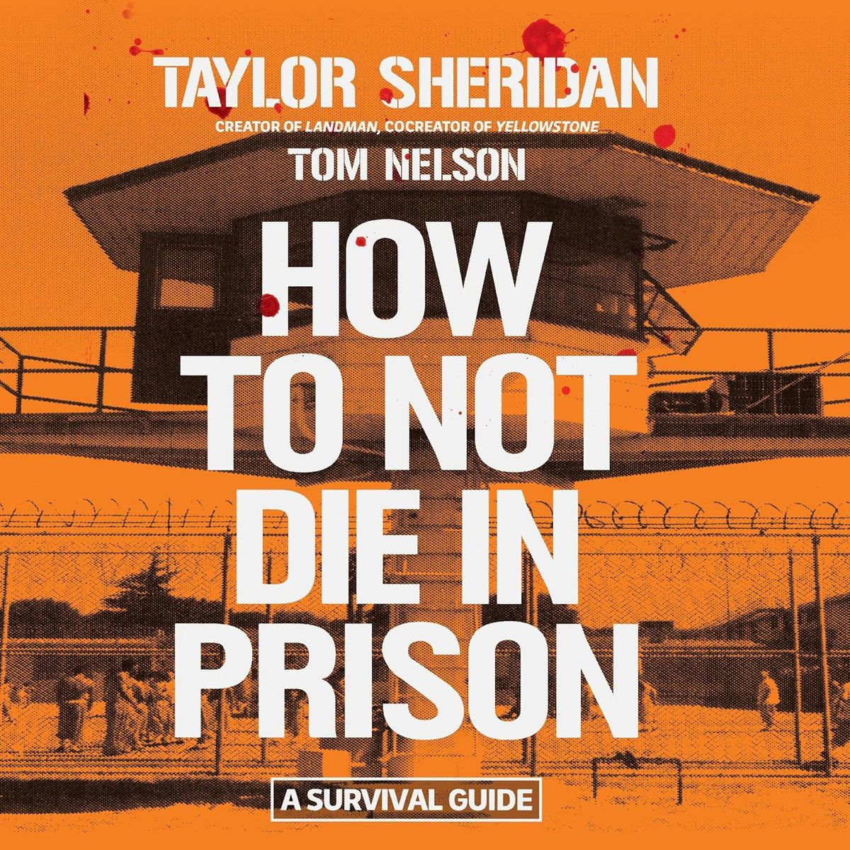 How to Not Die in Prison: A Survival Guide