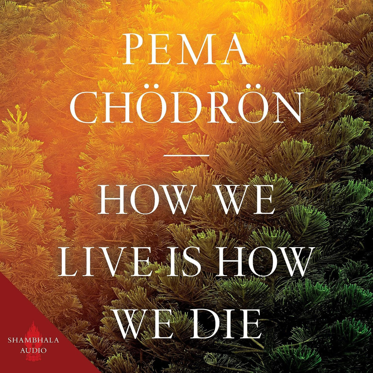 How We Live Is How We Die