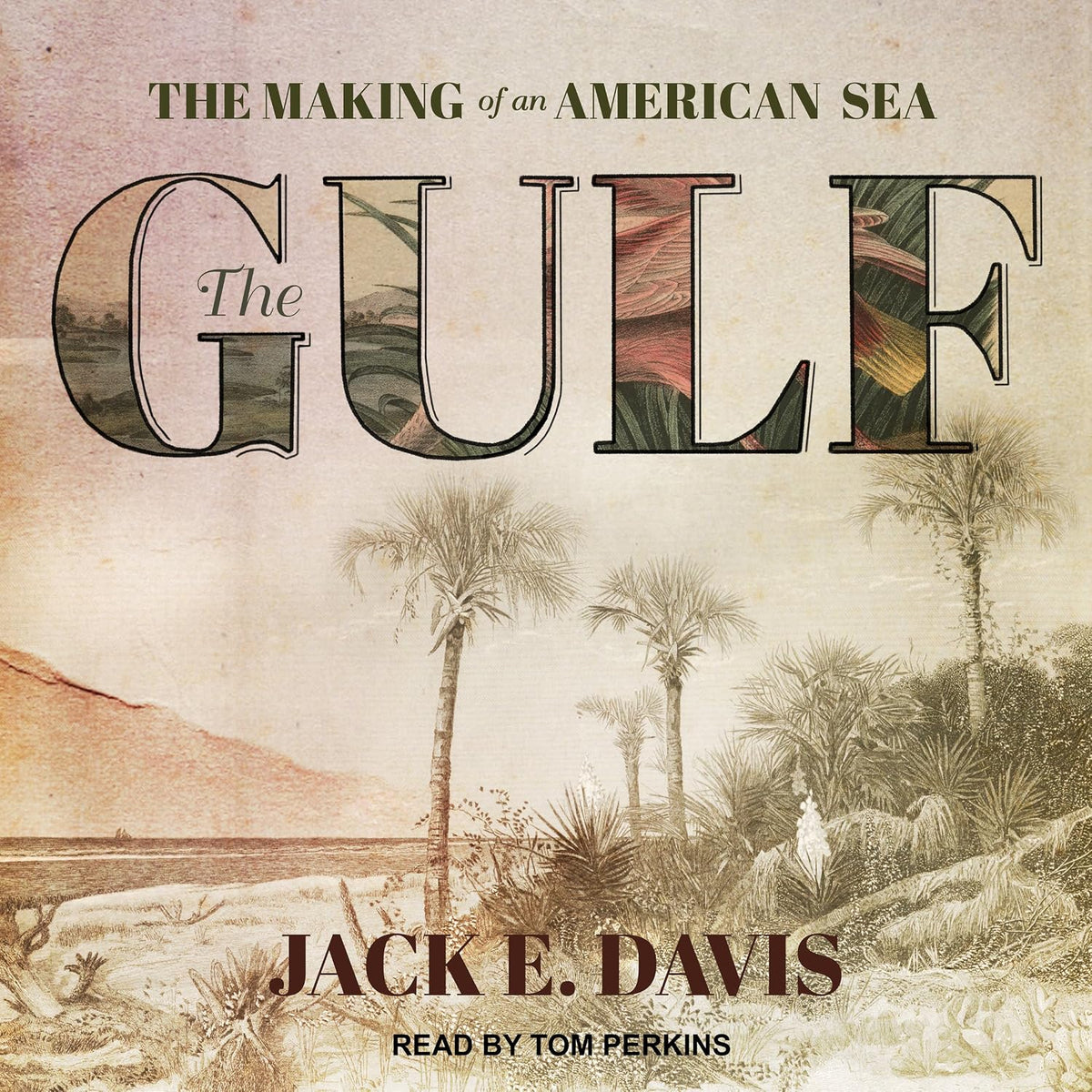 The Gulf: The Making of an American Sea